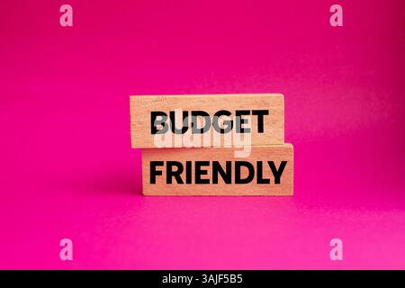 Message amical de budget écrit sur des blocs de bois sur fond rose. Symbole conceptuel favorable au budget. Copier l'espace. Banque D'Images