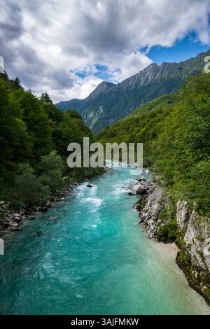 Eau cristalline émeraude de la rivière Soca, entourée de forêt verte, parc national du Triglav, Slovénie Banque D'Images