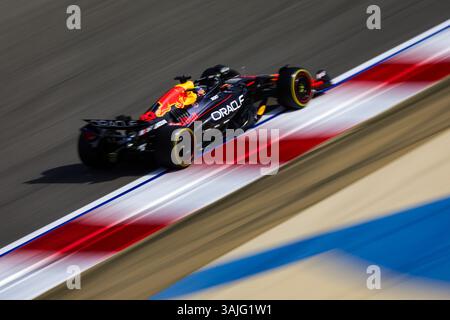 IWASA Ayumu (jpn), Red Bull Racing RB21, action durant le Grand Prix de formule 1 du Golfe de Bahreïn 2025, 4ème manche du Championnat du monde de formule 1 FIA 2025 du 11 au 13 avril 2025 sur le circuit international de Bahreïn, à Sakhir, Bahreïn Banque D'Images