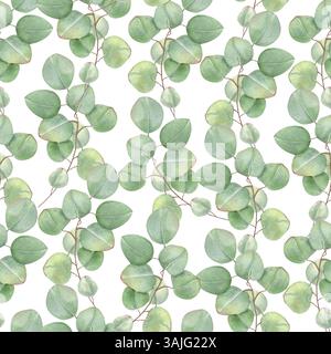 Branches délicates d'eucalyptus et feuilles sans couture motif aquarelle isolé fond. Plante tropicale peinte à la main pour la conception textile, papier peint Banque D'Images