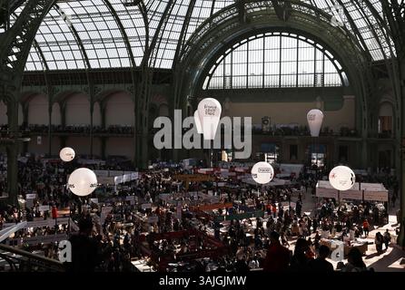 Paris, France. 11 avril 2025. Les gens assistent au Festival du livre de Paris 2025 au Grand Palais de Paris, France, le 11 avril 2025. L'événement de trois jours a débuté ici vendredi. Crédit : Gao Jing/Xinhua/Alamy Live News Banque D'Images