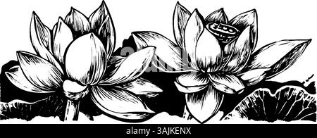 Deux fleurs de lotus magnifiquement détaillées avec des pétales complexes, une partiellement ouverte, sur un fond noir contrasté. Illustration de Vecteur