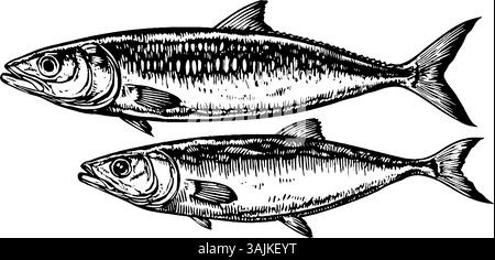 Illustration de deux poissons, un plus grand et un plus petit, montrant le travail de ligne détaillé et l'ombrage. Les poissons sont représentés dans un style réaliste, mettant l'accent sur leurs écailles et leurs nageoires. Illustration de Vecteur