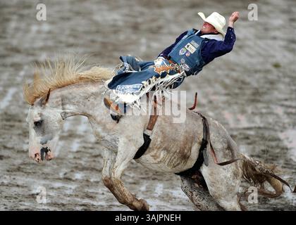 12 juil. 2010 - Calgary, Alberta, Canada - épreuve d'équitation Bareback Bronc pendant le rodéo du Calgary Stampede à Calgary. (Crédit image : © Larry MacDougal via ZUMA Wire) Banque D'Images