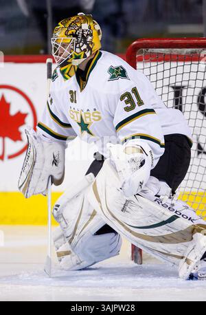 12 février 2010 - Calgary, Alberta, Canada - photo du profil du joueur de la LNH sur Alex Auld, gardien des Stars de Dallas, lors d'un récent match à Calgary. (Crédit image : © Larry MacDougal via ZUMA Wire) Banque D'Images