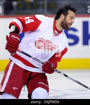 17 mars 2010 - Calgary, Alberta, Canada - photo de profil de joueur de la LNH sur Todd Bertuzzi des Red Wings de Détroit lors d'un récent match à Calgary. (Crédit image : © Larry MacDougal via ZUMA Wire) Banque D'Images