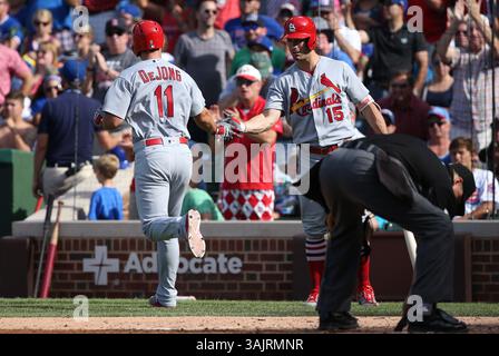 22 juillet 2017 - Chicago, il, USA - Paul DeJong (11 ans) des qualifiés Louis Cardinals est félicité par son coéquipier Randal Grichuk (15 ans) après que DeJong ait frappé un coup de circuit en solo en huitième manche contre les Cubs de Chicago au Wrigley Field à Chicago le samedi 22 juillet 2017. Les Cubs ont gagné, 3-2, bien que Grichuk ait ajouté un autre home run en solo dans son at-bat suivant. (Crédit image : © Chris Sweda/TNS via ZUMA Wire) Banque D'Images