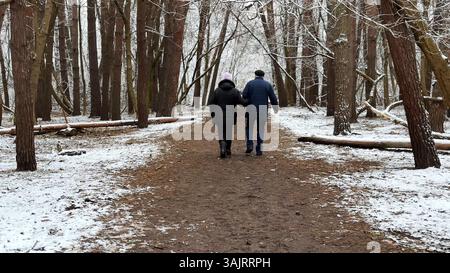 Couple mûr allant sur le chemin enneigé à la forêt de pins d'hiver. Mari senior et femme marchant à travers le sentier dans la forêt de conifères. Ancienne paire de Banque D'Images