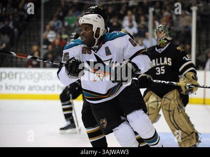 23 février 2009 : L'aile droite des Sharks de San Jose Mike Grier #25 en action lors d'un match de la LNH entre les Sharks de San Jose et les Stars de Dallas au American Airlines Center à Dallas, TX San Jose a battu Dallas 1-0 (crédit image : © Albert Pena/Cal Sport Media) Banque D'Images