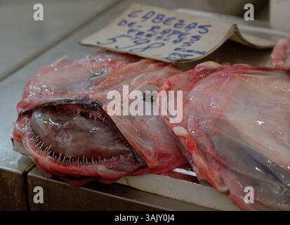 Des têtes de singes fraîches avec des dents tranchantes gisent sur un étal de marché aux poissons, prêt à être vendu Banque D'Images