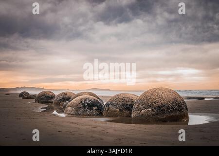 Moeraki Boulders au lever du soleil sur Koekohe Beach, Otago Coast, Île du Sud, Nouvelle-Zélande Banque D'Images
