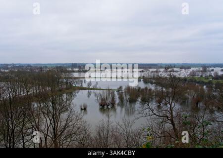 Crue dans les plans d'inondation du Rhin près de Wageningen aux pays-Bas avec des arbres submergés en janvier 2024 Banque D'Images