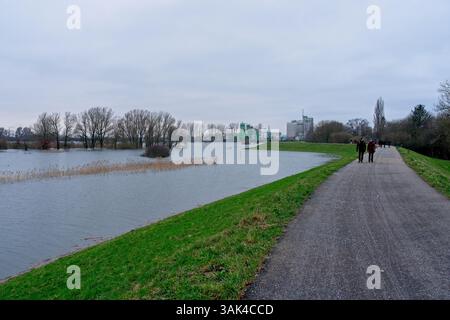 Wageningen pays-Bas - 7 janvier 2024 - les gens marchent sur la digue de la rivière avec les hautes eaux dans les plans d'inondation du Rhin près de Wageningen dans le Net Banque D'Images