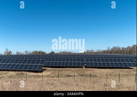 Rangées de panneaux solaires installés sur terre avec un ciel bleu clair dans l'après-midi. Banque D'Images