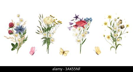 Bouquet aquarelle de fleurs sauvages, herbe, papillon. Illustration coquelicot, camomille, trèfle, papillon, bleuet, ranunculus, tanaisie, globeflower Banque D'Images