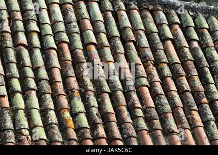 Vue rapprochée de tuiles de toit en terre cuite présentant des textures et des couleurs uniques. La surface montre l'âge avec la mousse, le lichen, et l'usure naturelle, France Banque D'Images