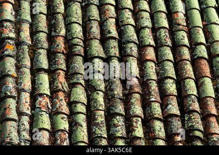 Vue rapprochée de tuiles de toit en terre cuite présentant des textures et des couleurs uniques. La surface montre l'âge avec la mousse, le lichen, et l'usure naturelle, France Banque D'Images