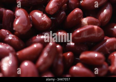 haricots rouges dans un bol blanc Banque D'Images