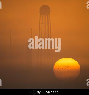 16 octobre 2016 - Wallops, Virginie, États-Unis d'Amérique - la fusée Orbital ATK Antares avec le vaisseau spatial Cygnus à bord, est en position prête au lancement Pad-0A, au lever du soleil à Wallops Flight Facility de la NASA le 16 octobre 2016 à Wallops, Virginie. L'Antares sera lancé avec le vaisseau spatial Cygnus rempli de plus de 5 100 livres de fournitures pour la Station spatiale internationale. (Crédit image : © Bill Ingalls/NASA via ZUMA Wire) Banque D'Images