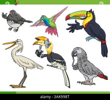 Illustration de bande dessinée de personnages d'espèces animales comiques d'oiseaux sauvages Illustration de Vecteur