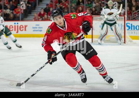 12 mars 2017 : Chicago, Illinois, États-Unis - Blackhawk #8 Nick Schmaltz en action lors du match de la Ligue nationale de hockey entre les Blackhawks de Chicago et le Wild du Minnesota au United Center à Chicago, il. (Image de crédit : &copy ; Mike Wulf/CSM via ZUMA Wire) Banque D'Images