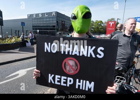 Londres, Royaume-Uni. 12 avril 2025. Une femme porte un masque extraterrestre vert tout en tenant une pancarte représentant Elon Musk et disant « non merci, gardez-le » alors que les opposants à Elon Musk, PDG de Tesla, manifestent devant un showroom de voitures Tesla appelant à un boycott en raison du soutien vocal de M. Musk à l'extrême droite au Royaume-Uni et en Europe et de son financement et soutien au président américain Donald Trump. Les manifestants espèrent qu’un boycott forcera une chute du cours de l’action Tesla et encouragera les propriétaires actuels et potentiels de véhicules électriques à choisir une marque différente. Crédit : Ron Fassbender/Alamy Live News Banque D'Images