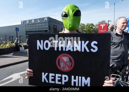 Londres, Royaume-Uni. 12 avril 2025. Une femme porte un masque extraterrestre vert tout en tenant une pancarte représentant Elon Musk et disant « non merci, gardez-le » alors que les opposants à Elon Musk, PDG de Tesla, manifestent devant un showroom de voitures Tesla appelant à un boycott en raison du soutien vocal de M. Musk à l'extrême droite au Royaume-Uni et en Europe et de son financement et soutien au président américain Donald Trump. Les manifestants espèrent qu’un boycott forcera une chute du cours de l’action Tesla et encouragera les propriétaires actuels et potentiels de véhicules électriques à choisir une marque différente. Crédit : Ron Fassbender/Alamy Live News Banque D'Images