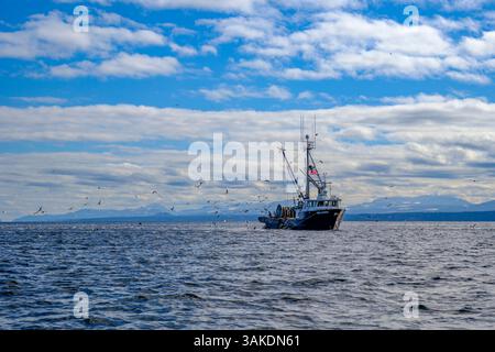Le senneur MV Nita Maria effectue la pêche test du hareng du Pacifique près de Denman Island (Colombie-Britannique) le 5 mars 2024 Banque D'Images