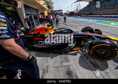 CIRCUIT INTERNATIONAL DE BAHREÏN, BAHREÏN - 11 AVRIL : Ayumu Iwasa, pilote de réserve de l'équipe Red Bull Racing, lors du Grand Prix de Bahreïn sur le circuit international de Bahreïn le vendredi 11 avril 2025 à Sakhir, Bahreïn (photo Michael Potts/Agence BSR) crédit : Agence BSR/Alamy Live News Banque D'Images