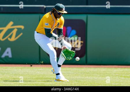 Lawrence Butler (4), le joueur de terrain d'Oakland Athletics, présente un ballon au sol lors d'un match de baseball de la MLB contre les Cubs de Chicago au Sutter Health Park, le mercredi 2 avril 2025, à Sacramento. Les Cubs ont battu les A 10-2. (Jameel Pugh/image du sport) Banque D'Images