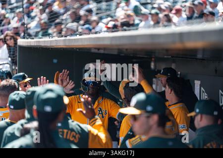 Lawrence Butler (4), le rival d'Oakland Athletics, obtient un high-cinq dans la dugout après avoir marqué sur un home run par Brent Rooker (25) en bas de la troisième manche lors d'un match de baseball de la MLB contre les Cubs de Chicago au Sutter Health Park, mercredi 1er avril 2025, à Sacramento. Les Cubs ont battu les A 10-2. (Jameel Pugh/image du sport) Banque D'Images
