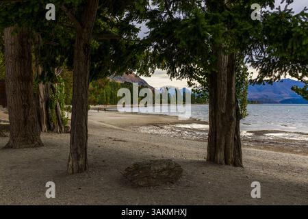Beaux arbres sur la rive du lac le matin. Pittoresque lac Wanaka, Île du Sud, Nouvelle-Zélande Banque D'Images