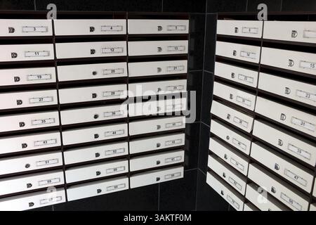 Deux armoires en bois avec plusieurs tiroirs rieuses pour stockage d'accessoires, d'un stock ou d'une collection de petits objets Banque D'Images