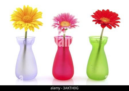 Fleurs Gerber colorées dans des vases en verre isolés sur blanc Banque D'Images