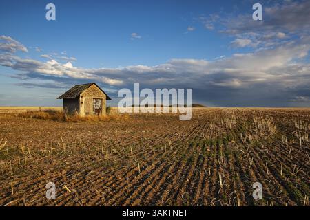 Ancienne grange et champ vide après récolte en journée ensoleillée. Photo panoramique avec champ de blé fauché sous jour ensoleillé. République tchèque Banque D'Images