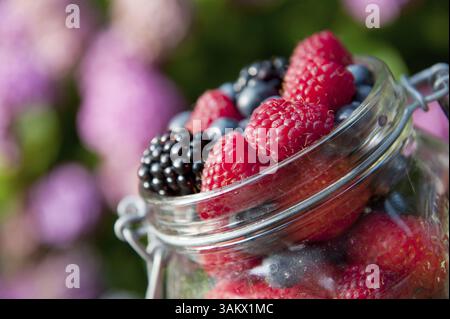 Dans la diversité de fruits de la forêt à l'extérieur le jardin de verre Banque D'Images