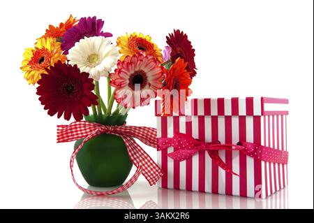 Beau bouquet Gerber coloré avec ruban damier et présent Banque D'Images