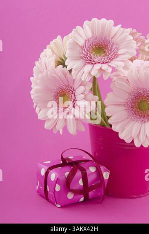 Anniversaire bouquet rose avec Gerber et présent Banque D'Images