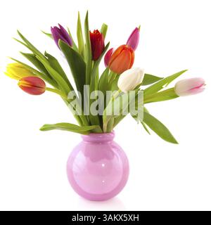 Bouquet coloré de tulipes hollandaises dans un vase en verre rose Banque D'Images