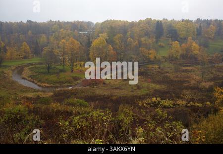 Vue aérienne de la forêt d'automne et de la rivière courbe à Toila, Estonie, Europe Banque D'Images