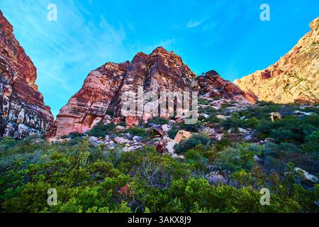Imposantes falaises de Red Rock Canyon avec verdure luxuriante vue à angle réduit Banque D'Images