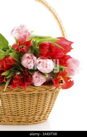 Panier avec bouquet de tulipes en rouge et rose Banque D'Images