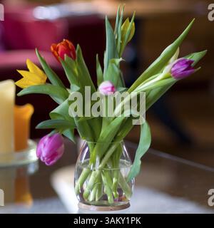 Vase en verre avec tulipes colorées en intérieur Banque D'Images