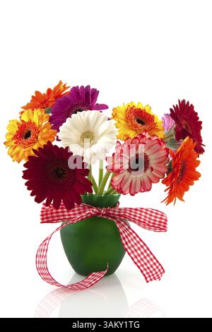 Beau bouquet Gerber coloré avec ruban damier en vase isolé sur blanc Banque D'Images