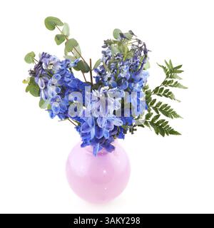 Bouquet de Delphinium bleu vase en rose sur fond blanc Banque D'Images Bouquet de Delphinium bleu vase en rose sur fond blanc Banque D'Images
