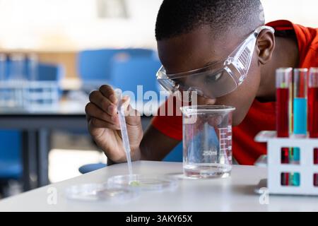 À l'école, garçon menant une expérience scientifique avec un bécher et une boîte de Petri Banque D'Images