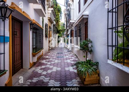 Marbella vieille ville en Andalousie Espagne. Village espagnol typique maisons blanchies à la chaux rue étroite Banque D'Images