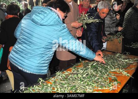 Padoue, Italie. 13 avril 2025. Dimanche des Rameaux pluvieux dans la Basilique de Sant'Antonio. Bénédiction des branches d'olivier, procession et messe dans le cloître en présence de nombreux fidèles. Crédits crédit : Ferdinando Piezzi/Alamy Live News Banque D'Images