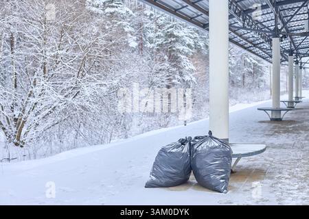 La beauté saisissante de l'hiver contraste avec les déchets jetés, évoquant un sentiment de mélancolie et soulignant les préoccupations environnementales, parfait pour illustrer Banque D'Images