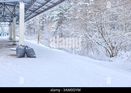 Les arbres gelés scintillent dans la lumière hivernale, encadrant un parc désolant, faisant allusion à l'isolement et au calme tranquille d'un paysage enneigé, ide Banque D'Images